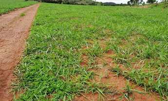 Imagem 2: FAZENDA Á VENDA 75 ALQUEIRES URUANA - GO