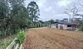 Imagem 7: Terreno à venda por R$ 250000.00, 1666.66 m2 - BARRO PRETO - SAO JOSE DOS PINHAIS/PR