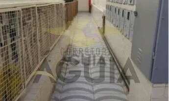 Imagem 4: Excelente Prédio Comercial no São Benedito