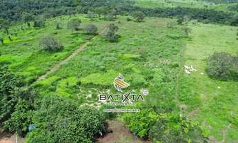 Imagem: Fazenda 43 Alqueires, 30 km de Palmas