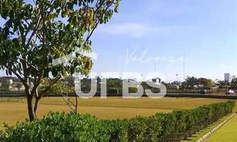 Imagem 6: LOTE TERRAS ALPHA 2