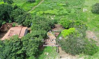 Imagem 7: Fazenda 43 Alqueires, 30 km de Palmas