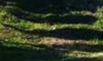 Imagem 2: Lotes em Lapa/PR de 300m² (Boqueirão