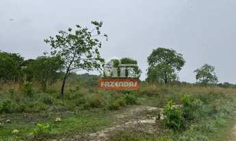 Imagem 7: Fazenda 131,7 alqueires (637,4 hectares) São Luiz do Norte - Go