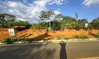 Imagem 5: Lote em Pomar Da Lagoa