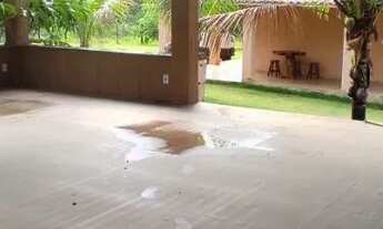 Imagem 3: Sítio dos sonhos à venda em Araçás-Bahia