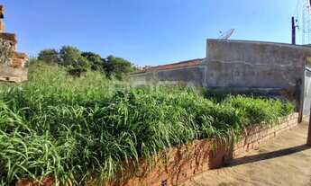 Imagem 7: Terreno Padrão à venda no Jardim São Carlos, São Carlos