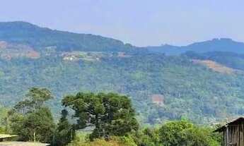 Imagem 3: Sítio / Chácara para Venda em Nova Petrópolis, Linha Araripe