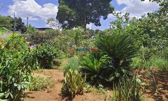 Imagem 5: Ótima localização