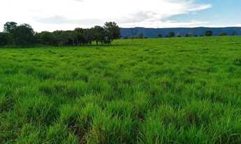 Imagem 3: Fazenda Extra 151 Alqueires - Dupla Aptidão!