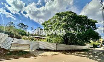 Imagem 4: Ótimo conjunto de lotes a Venda, grande oportunidade!