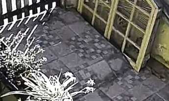 Imagem 4: Iguabinha anual / Carnaval