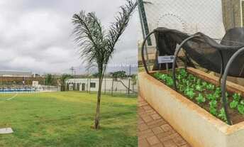 Imagem 5: Apartamento recém reformado no Cond. Rio Candelaro em São José do Rio Preto-SP