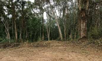 Imagem 2: Vendo lote de 361,59M² com simples acesso a repressa - Loteamento Saveiros