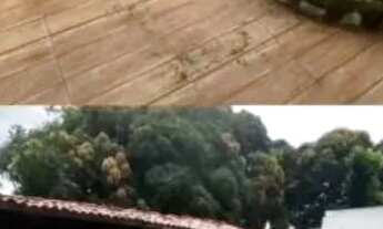 Imagem 3: Casa com 04 quartos WC 04 Aluga-se