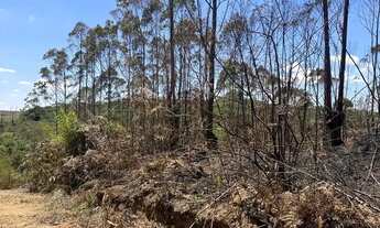 Imagem 3: Terreno de 500m por R$35mil Ibiúna/SP
