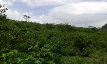 Imagem 2: Fazenda com 202 há em Coronel Ezequiel, toda cercada, 1 açude, 2 barreiros, energia