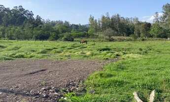 Imagem 3: Sitio com açude em condomínio fechado - Oportunidade para moral ou final de semana