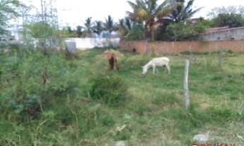 Imagem 4: Terreno à venda, 200 m² por R$ 50.000,00 - Luiz Gonzaga - Caruaru/PE