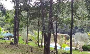 Imagem 5: Fazendinha - 2 hectares - Em Sítio Novo - Mateus Leme