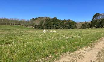 Imagem 5: VALE DOS VINHEDOS (BENTO GONçA - Terreno Padrão - Vale Dos Vinhedos