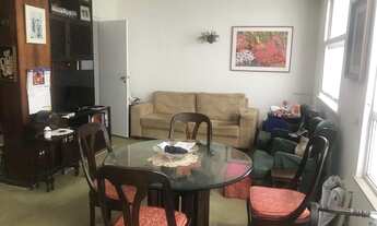 Imagem: Excelente planta muito versátil