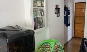 Imagem 4: ## Apartamento à venda - Piqueri - São Paulo/SP ##
