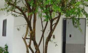 Imagem 7: Casa Residencial & Comercial com 1248m a.t