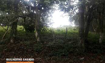 Imagem 4: Terreno, Pousada Dos Bandeirantes, Carapicuiba