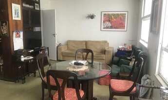 Imagem 3: Excelente planta muito versátil