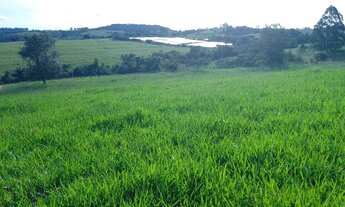 Imagem 6: Fazenda/Sítio/Chácara para venda tem 400000 metros quadrados em Centro - Itapetininga - SP