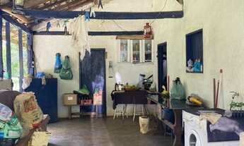 Imagem 6: Fazenda tem 15 Hectares, próximo a Esmeralda