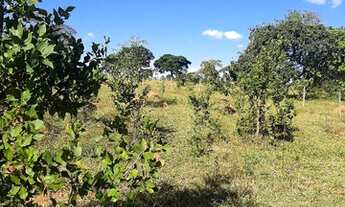 Imagem 4: Fazendinha para venda tem 20000 metros quadrados em Amanda - Baldim - MG