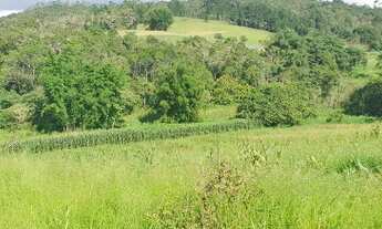 Imagem 7: Vendo -Sitio 48.000m2 no asfalto em Mogi das Cruzes