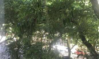 Imagem 7: Osvaldo Cruz apartamento Com 90 m² em vaga escriturada.Esquina com H. deBarros.Andar priva