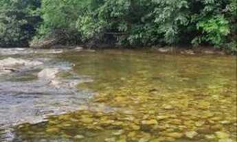 Imagem 1: Vendas de Lotes individuais