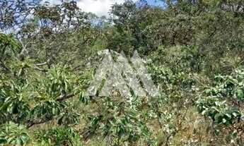 Imagem 2: Terreno 3ha margens da rodovia mg 040 Rio Manso