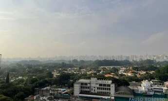 Imagem 5: COBERTURA - MOEMA PÁSSAROS - SP