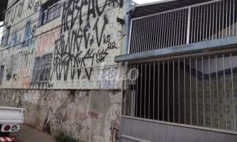 Imagem 1: São Paulo - Casa Padrão - Vila Prudente