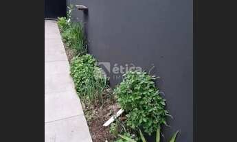 Imagem 6: Casa localizada próximo a igreja matriz de Itajaí pertinho de tudo