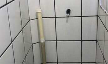 Imagem 6: Alugo apartamento com 2 quartos e 1 suite em Olinda