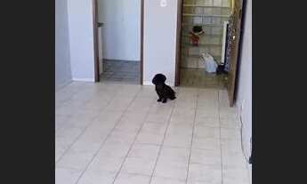 Imagem 6: Alugo Apartamento no Augusto Franco