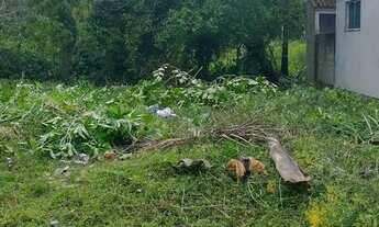 Imagem 2: Vendo Terreno Forquilhas