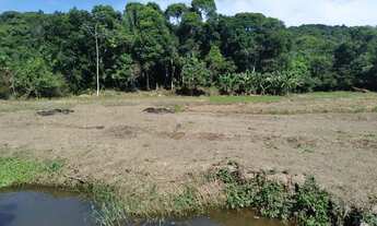 Imagem 4: SITIO COM 1 HECTARE DE TERRA FÉRTIL E MUITA ÁGUA