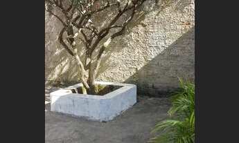 Imagem 3: Lote 300 4 quartos 2 banheiros 1 ponto comercial na frete Quintal grande