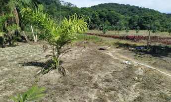 Imagem 7: SITIO COM 1 HECTARE DE TERRA FÉRTIL E MUITA ÁGUA