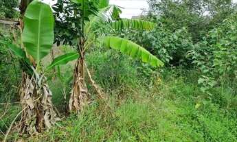 Imagem 6: Terreno - Chácara Primavera - Campinas