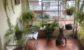 Imagem 6: Casa térrea Casa com 2 dormitórios