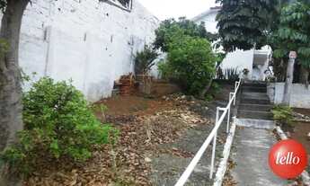 Imagem 4: São Paulo - Terreno Padrão - Água Rasa