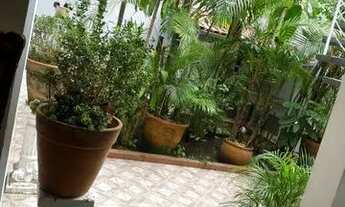 Imagem 7: SÃO PAULO - Casa Padrão - JARDIM EUROPA